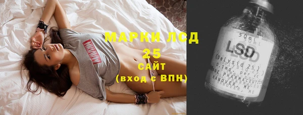 ПСИЛОЦИБИНОВЫЕ ГРИБЫ Алзамай