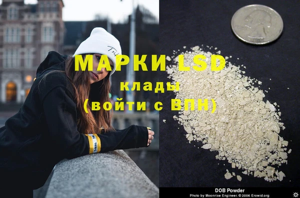 ПСИЛОЦИБИНОВЫЕ ГРИБЫ Алзамай