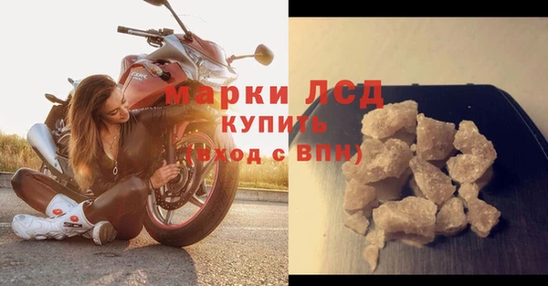ПСИЛОЦИБИНОВЫЕ ГРИБЫ Алзамай