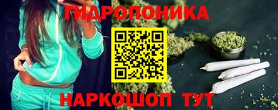 крисы Ярославль