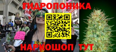 стаф Ярцево