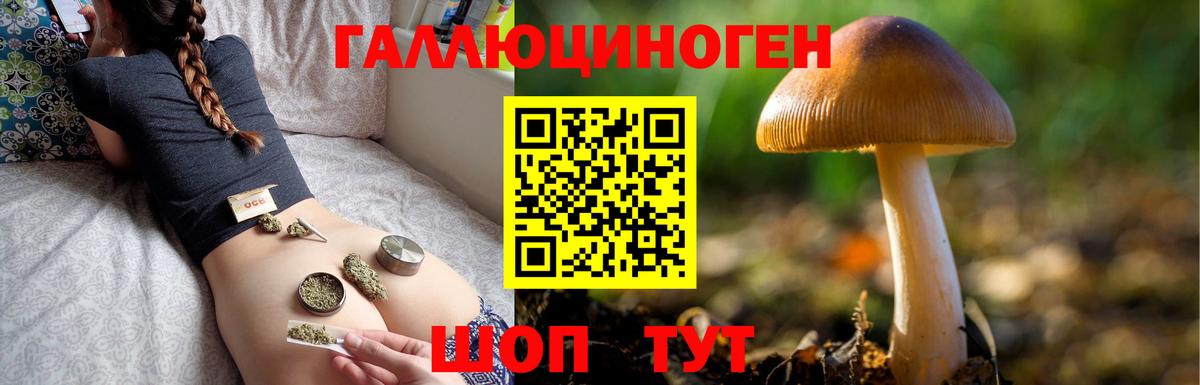 Киреевск  Псилоцибиновые грибы Magic Shrooms  Псилоцибиновые грибы Magic Shrooms  Вход с VPN 